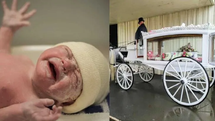 From First Breath to Final Goodbye: A Mother’s Heartbreaking Journey Through SIDS and Unyielding Love for Baby Primrose