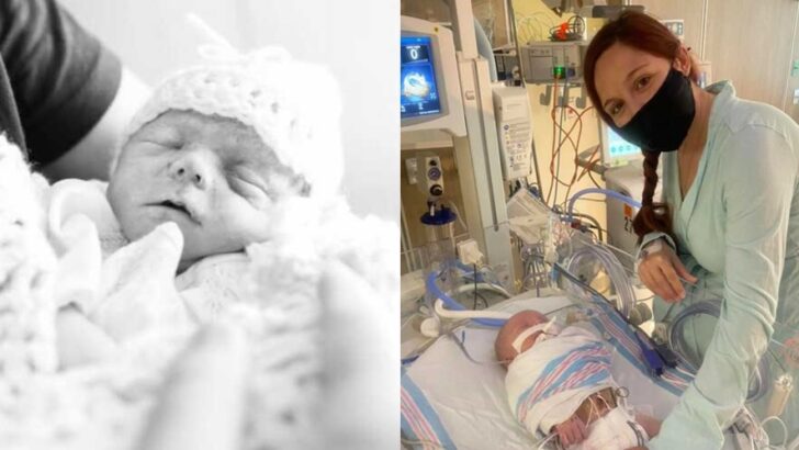 From Shattered Dreams to a Stained-Glass Life: A Mother’s Journey Through Stillbirth, and the Gift of a Rainbow Baby Boy After Loss