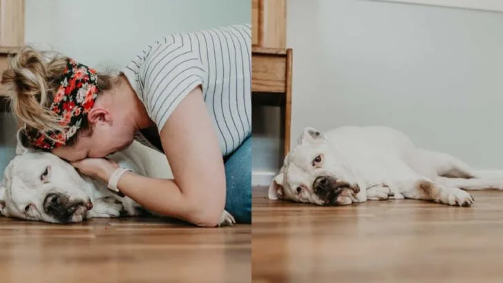 From Puppy Days to Final Goodbyes: A Woman&rsquo;s Emotional Journey Through Love, Loss, and Letting Go of Her Beloved Dog Chloe
