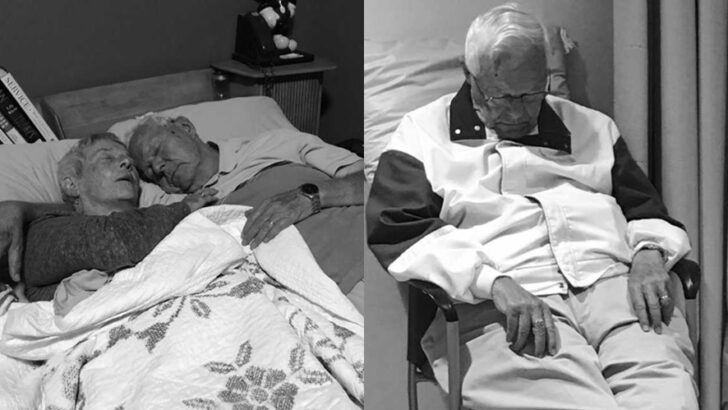 Inside a Daughter’s Journey: Caring for Her Mother With Dementia and the Daily Challenges of Love, Loss, and Resilience