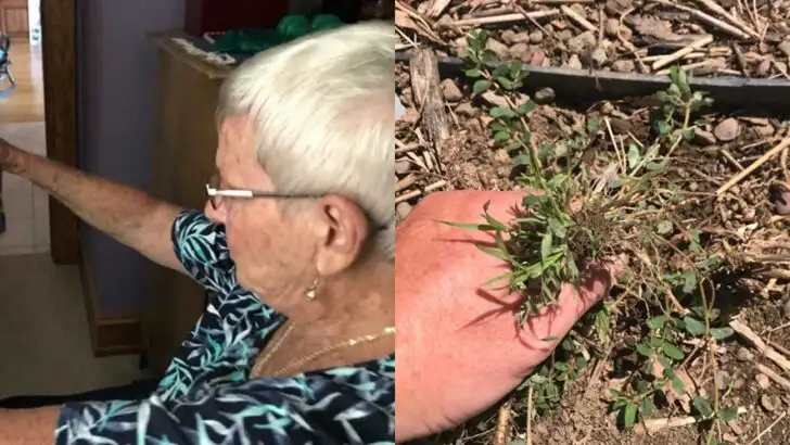 Caring for Mom With Dementia: The Hilarious, Exhausting, and Heartwarming Moments That Remind Them of the Power of Family Love