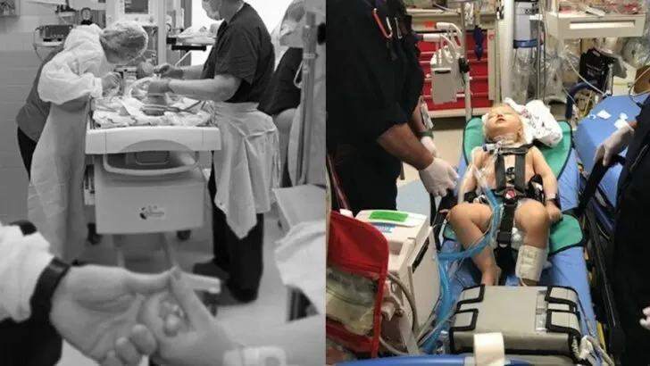 Full-Term and Full of Surprises: How Baby Dallas Jane Parker Defied Death, Endured ECMO, Trach Surgeries, and Countless Diagnoses to Become Her Family’s Living Miracle 