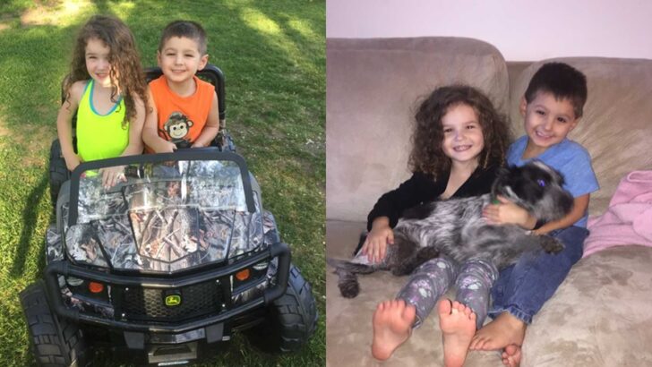 After Losing Both Parents, My Little Brother Found a New Home — and a Sister Who Taught Her the True Meaning of Family, Love, and Sibling Bonds