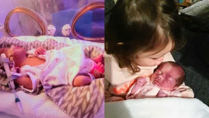 She Was Born Fighting: Lily’s Strength Teaches Us What Courage Truly Looks Like