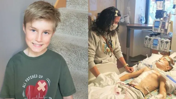 A Mother’s Gift and a Son’s Miracle: How One Family Faced a Child’s Congenital Heart Defect, a Lifesaving Kidney Donation, and Found Hope Through Courage and Love