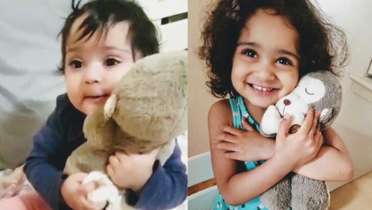 When a 3-Year-Old Chose to Give Away Her Favorite Toy: A Mother’s Heartwarming Lesson on Raising Children with Kindness and Gratitude