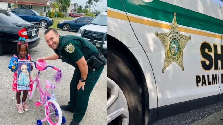 After a Hit-and-Run Destroyed a Little Girl’s New Christmas Bike, Deputies Returned the Next Day With a Brand-New Bicycle and Doll.