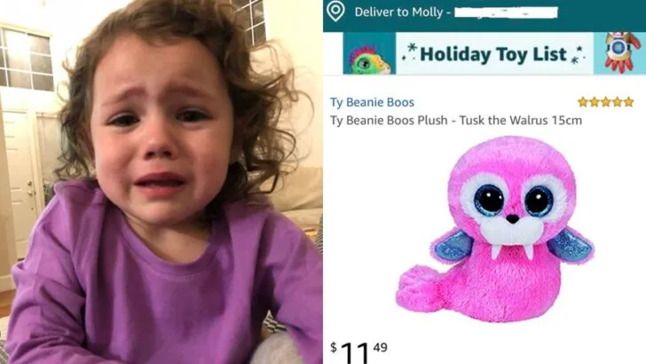 I Thought My Daughter Wouldn’t Notice I Donated Her Toys — Until She Asked for Her ‘Pink Baby Walrus’ and My Heart Sank