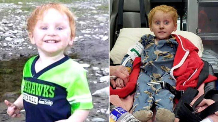 ‘His Eyes Lit Up’: How 3-Year-Old Ryker Webb Survived Two Stormy Nights Alone in the Montana Wilderness Before Reaching for His Parents Again