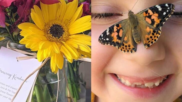 The Moment Two Mothers Held the Same Child: How One Family&rsquo;s Open Adoption Sparked a Mission to Teach the Beauty of Belonging Through Little World Wanderers